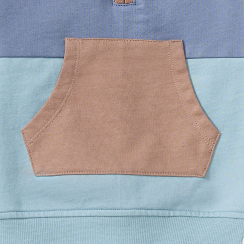 Boys Color Blocked Toddler Sweatshirt Set