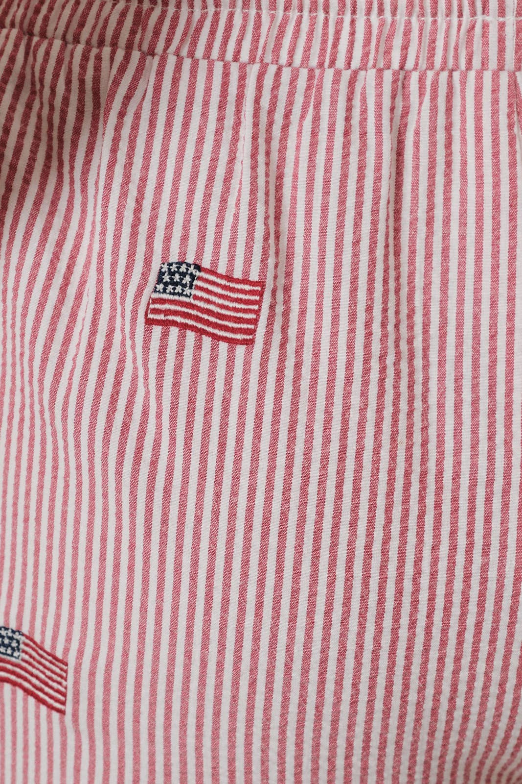STRIPE FLAG EMBROIDERED SHORTS